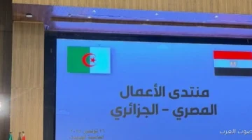 اتحاد الغرف الشراكة بين مصر والجزائر مهمة عشان نطور التنمية