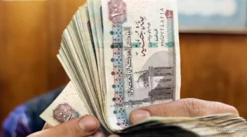 مع السنة الجديدة .. اخر اخبار زيادة المعاشات 2026 وفقًا لقرار هيئة التأمينات الاجتماعية 18 اخر اخبار زيادة المعاشات 2026