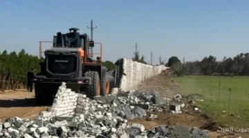 استصلاح الأراضي ينقذ 31 فدان من التعديات على الأراضي الزراعية