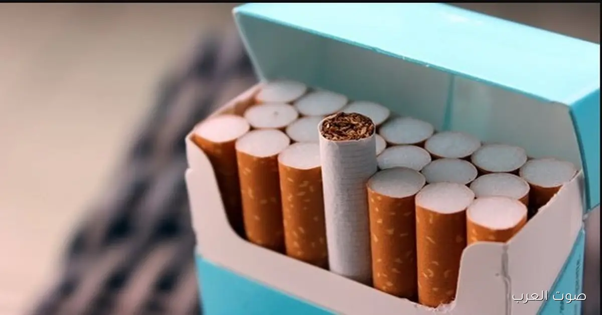 كسرت الــ 100ج .. اسعار السجائر الجديدة 2025 في المحلات والاكشاك