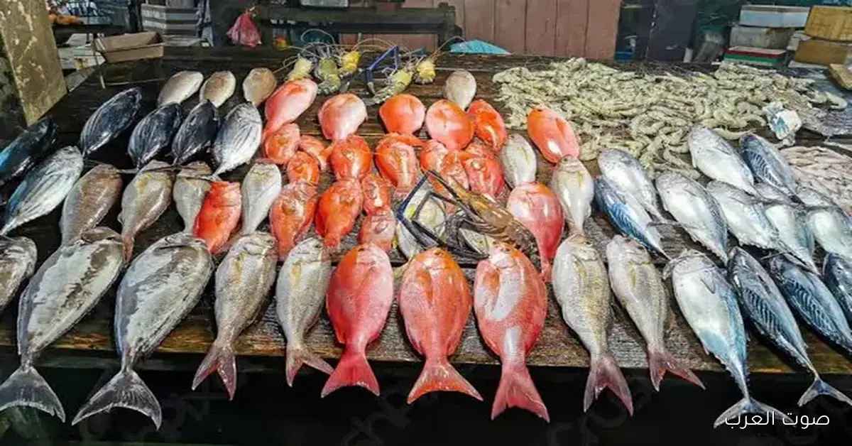 بوري وبطلي .. اسعار السمك اليوم الثلاثاء 2025/11/25 في سوق العبور 2 بوري وبطلي .. اسعار السمك اليوم الثلاثاء 2025/11/25 في سوق العبور