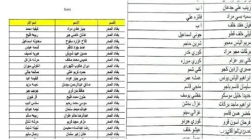 اسماء المشمولين بالرعاية الاجتماعية الوجبة السابعة 2025 1