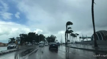 الأرصاد بتقول تفاصيل حالة الطقس في الساعات الجاية