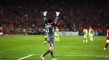 الأهلي بيتابع حالة الشناوي مع المنتخب قبلي أمم إفريقيا