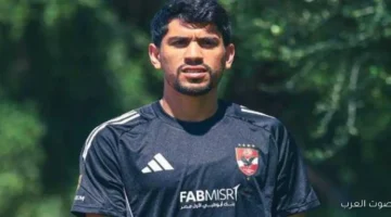 الأهلي يحدد مستقبل محمد شكري مع توروب