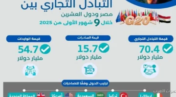 الإحصاءات صادرات مصر زادت 106 لدول العشرين