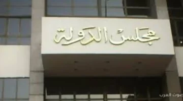 الإدارية العليا تلغي 29 دائرة انتخابية في المرحلة الأولى من