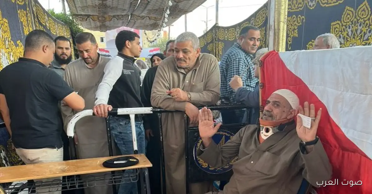 الإدارية العليا تلغي نتائج انتخابات مجلس النواب في دوائر 4 و5 و6 و9 بالبحيرة