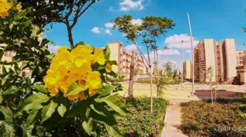 الإسكان المدن الجديدة شغالة على تطوير المرافق وتحسين الكفاءة