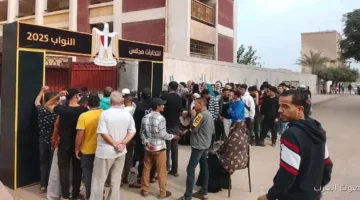 الائتلاف المصري الإشارات اليدوية والأطفال هيمثلوا الدعاية في المرحلة الثانية