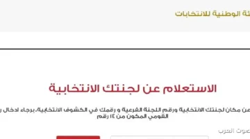 الانتخابات الجاية يوم الاتنين والناس تصوت في المرحلة الثانية لمجلس