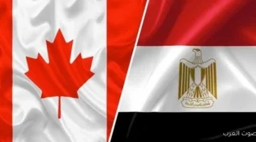 التجارة المصرية في مونتريال تقوي التعاون مع كندا في مجال