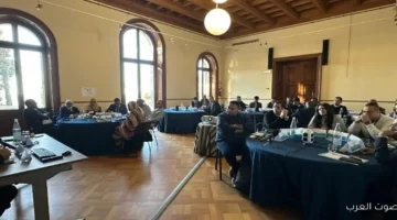 التضامن تشارك في ورشة عمل عن الحماية في الحركات المختلطة