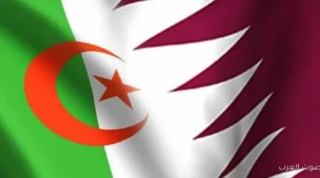 التليفزيون الجزائري هيعرض مباريات كأس العرب 2025