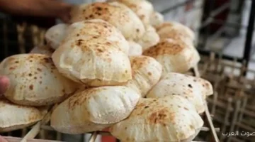 التموين سعر رغيف العيش المدعم هيفضل زي ما هو