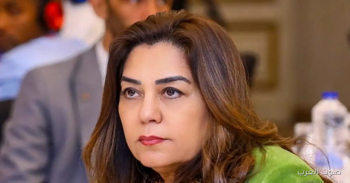 التنمية المحلية: المحافظات في المرحلة الأولى جاهزة لانتخابات مجلس النواب