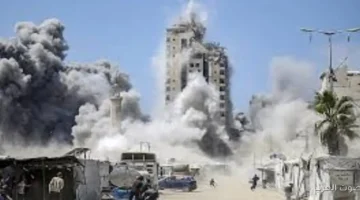 الجامعة العربية استشهاد 13500 طالب فلسطيني في الحرب على غزة