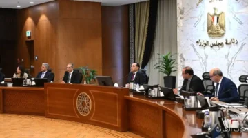 الحكومة تقر توصيات اللجان وده تفاصيلها