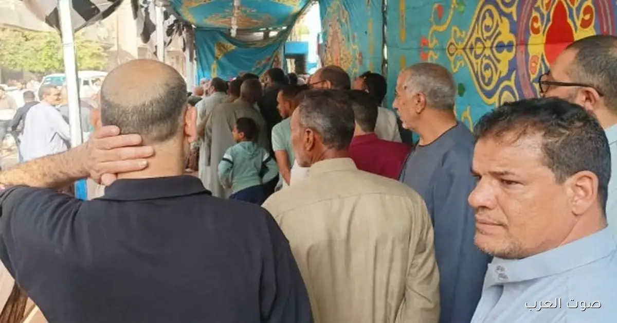 الخدمات الإدارية بتجمع العمال عشان يصوتوا في انتخابات مجلس النواب