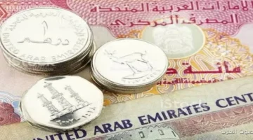الدرهم الاماراتي