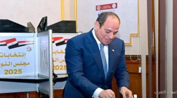 الدولة بتقول كلمتها شخصيات حكومية بارزة تشارك في انتخابات مجلس