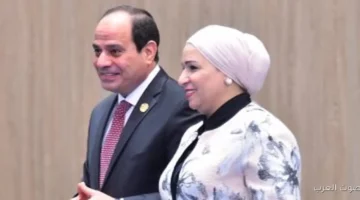 الرئيس السيسي بنشجع الشركات الكورية على زيادة استثماراتها في مصر