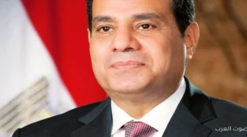 الرئيس الكوري يشكر مصر على جهودها في تحقيق السلام ودعم