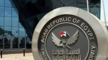 الرقابة المالية 20 مليار جنيه استثمارات صناديق التأمين الخاص في