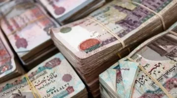 الرقابة المالية 3930 تريليون جنيه قيمة الضمانات المنقولة لحد نهاية