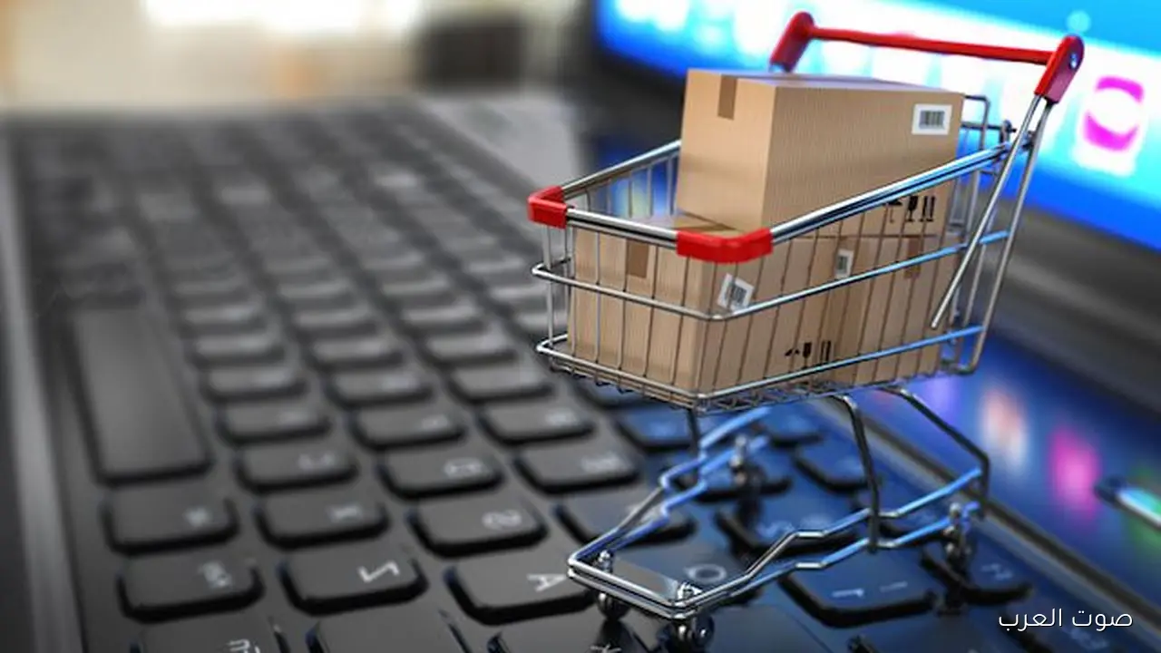 الرقابة المالية 474 مليار جنيه لشراء سلع استهلاكية في 7