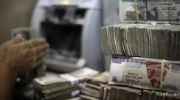 الرقابة المالية 92 مليار جنيه تمويلات لنشاط التأجير في 7
