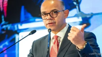 الرقابة المالية التعاون مع الدول التانية مهم لمواجهة تحديات التكنولوجيا