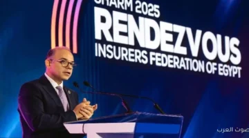 الرقابة المالية طلعنا 47 قرار لتنظيم القطاع بعد ما صدر