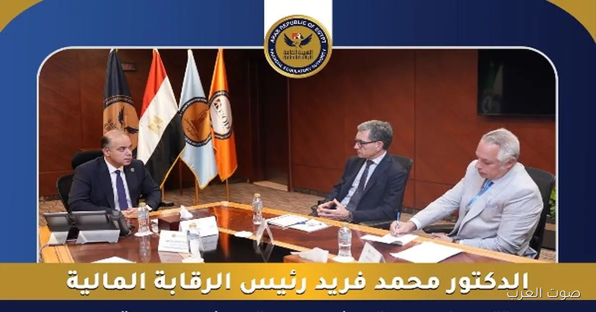 الرقابة المالية: هتصدر مجموعة قرارات عن الشورت سيلنج قبل نهاية السنة 2 الرقابة المالية: هتصدر مجموعة قرارات عن الشورت سيلنج قبل نهاية السنة