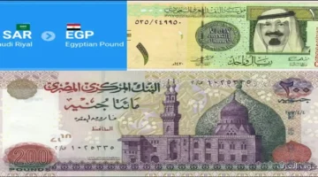 الريال السعودي 2