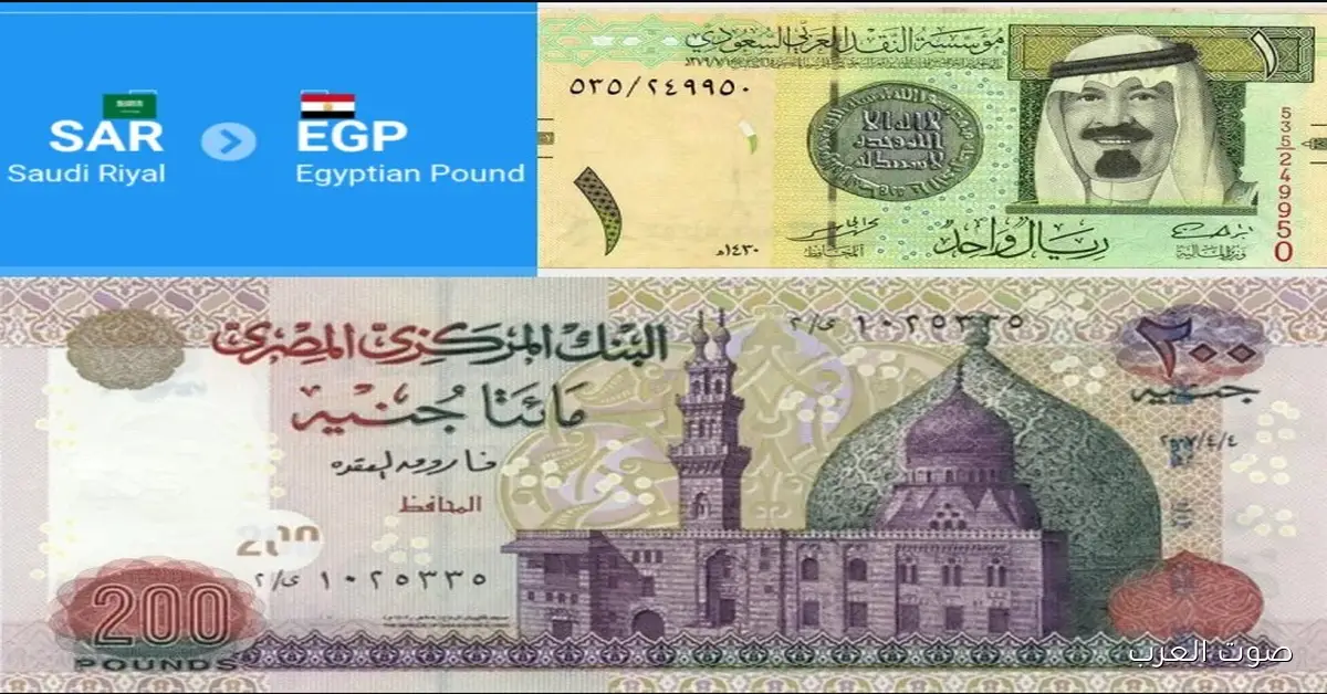الملكي يساوي كم؟؟ سعر الريال السعودي مقابل الجنيه المصري اليوم سوق سوداء وبنوك
