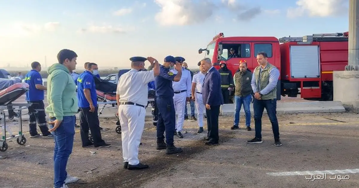 السعودية وأمريكا والسودان في المقدمة.. شوف مين بيستوردوا الأكل من مصر