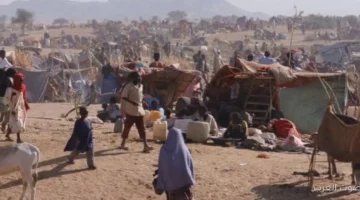 السودان وفاة 23 طفل خلال شهر في الدلنج وكادوقلي بسبب