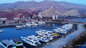 السياحة المصرية تشارك في معرض MITT الدولي 2026