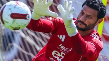 الشناوي مش هيلعب مباراة الأهلي والجيش الملكي في دوري أبطال