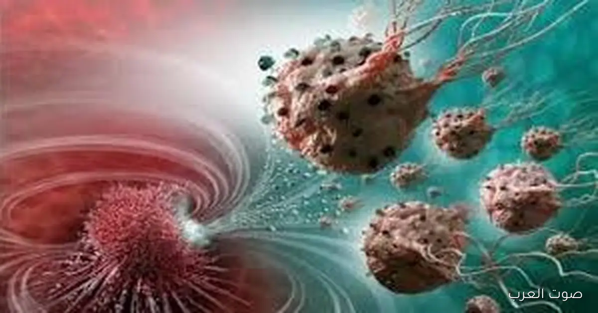 الصحة: فحص حوالي 15 مليون مواطن في مبادرة الكشف المبكر عن السرطان 2 الصحة: فحص حوالي 15 مليون مواطن في مبادرة الكشف المبكر عن السرطان