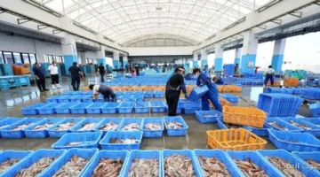 الصين تمنع استيراد المأكولات البحرية من اليابان