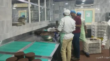 العمل مهلة لـ727 شركة علشان توفق أوضاعها و575 مخالفة للقانون