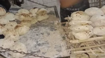 القليوبية ضبط 12 مخالفة تموينية في يوم واحد