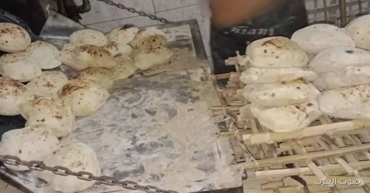 القليوبية.. ضبط 12 مخالفة تموينية في يوم واحد