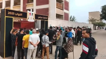 القومي لحقوق الإنسان متابعة شاملة لكل اللجان في المرحلة التانية