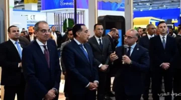 المالية 25 مؤسسة غير مصرفية بتقدم خدماتها أونلاين وتسجيل 6