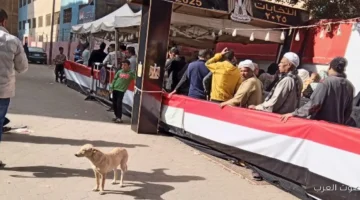 المرحلة التانية زيادة حركة التصويت ودخول المناطق الصناعية في المشاركة