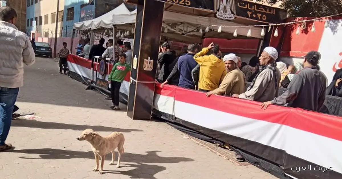 المرحلة التانية.. زيادة حركة التصويت ودخول المناطق الصناعية في المشاركة الانتخابية