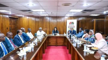 المشاط تتقابل مع 7 سفراء أفارقة لدعم التعاون الاقتصادي في